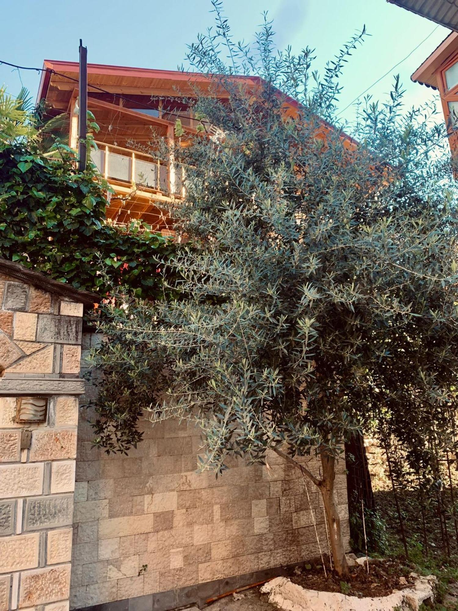 Alimeti Guesthouse Berat Exterior foto
