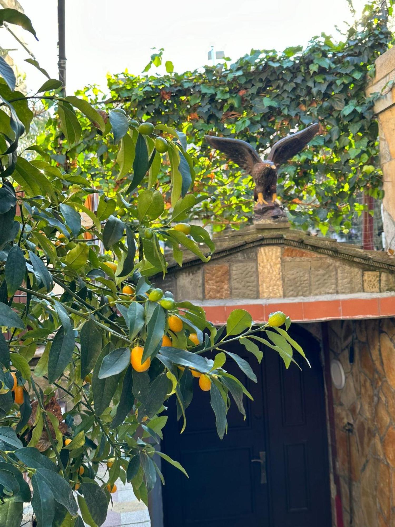 Alimeti Guesthouse Berat Exterior foto